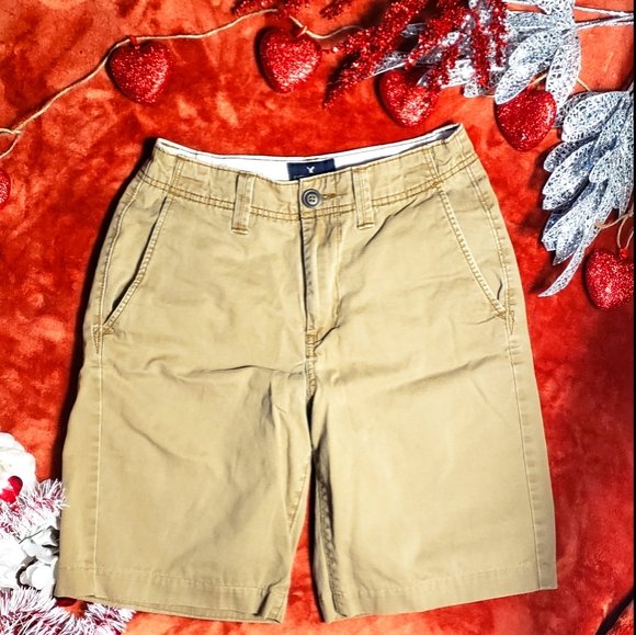 American Eagle Outfitters Shorts American Eagle Longboard Khaki